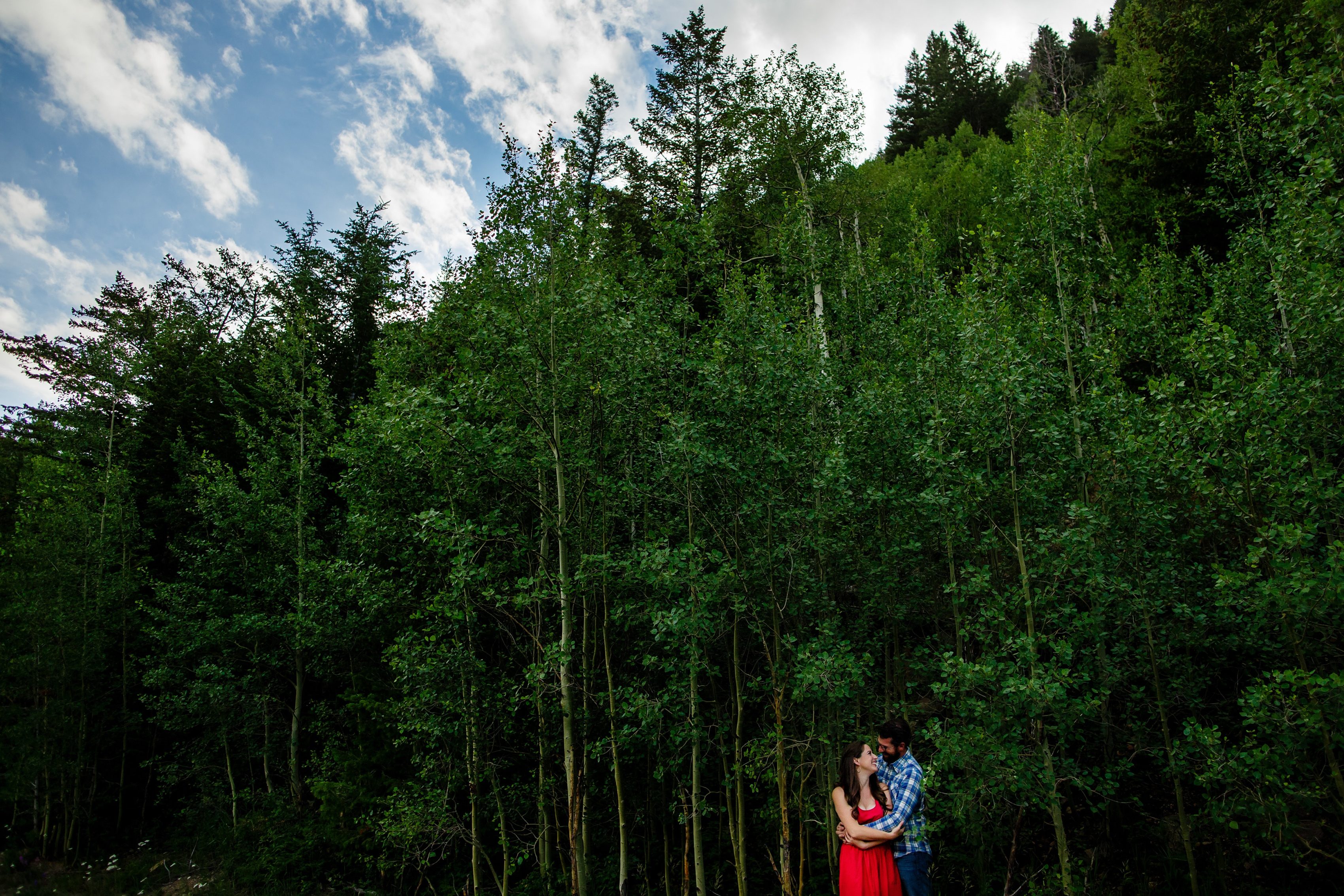 Daniel and Mallory embrace amongst an aspen grove on Guanella Pass in Colorado during their engagement session