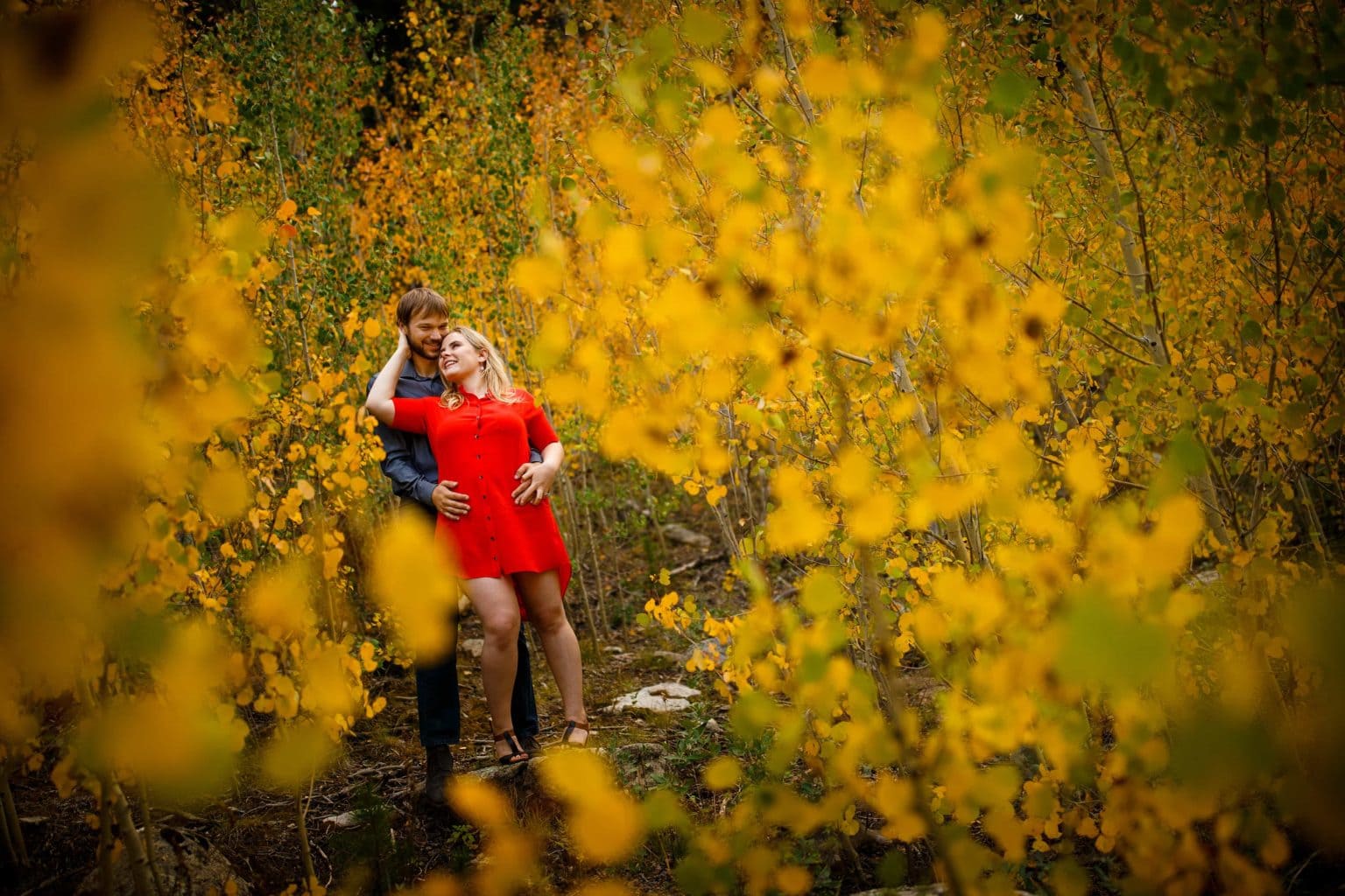 Joel and Coza share a moment together in a grove of aspen trees along Gap road in Golden Gate Canyon State Park during their fall Golden engagement