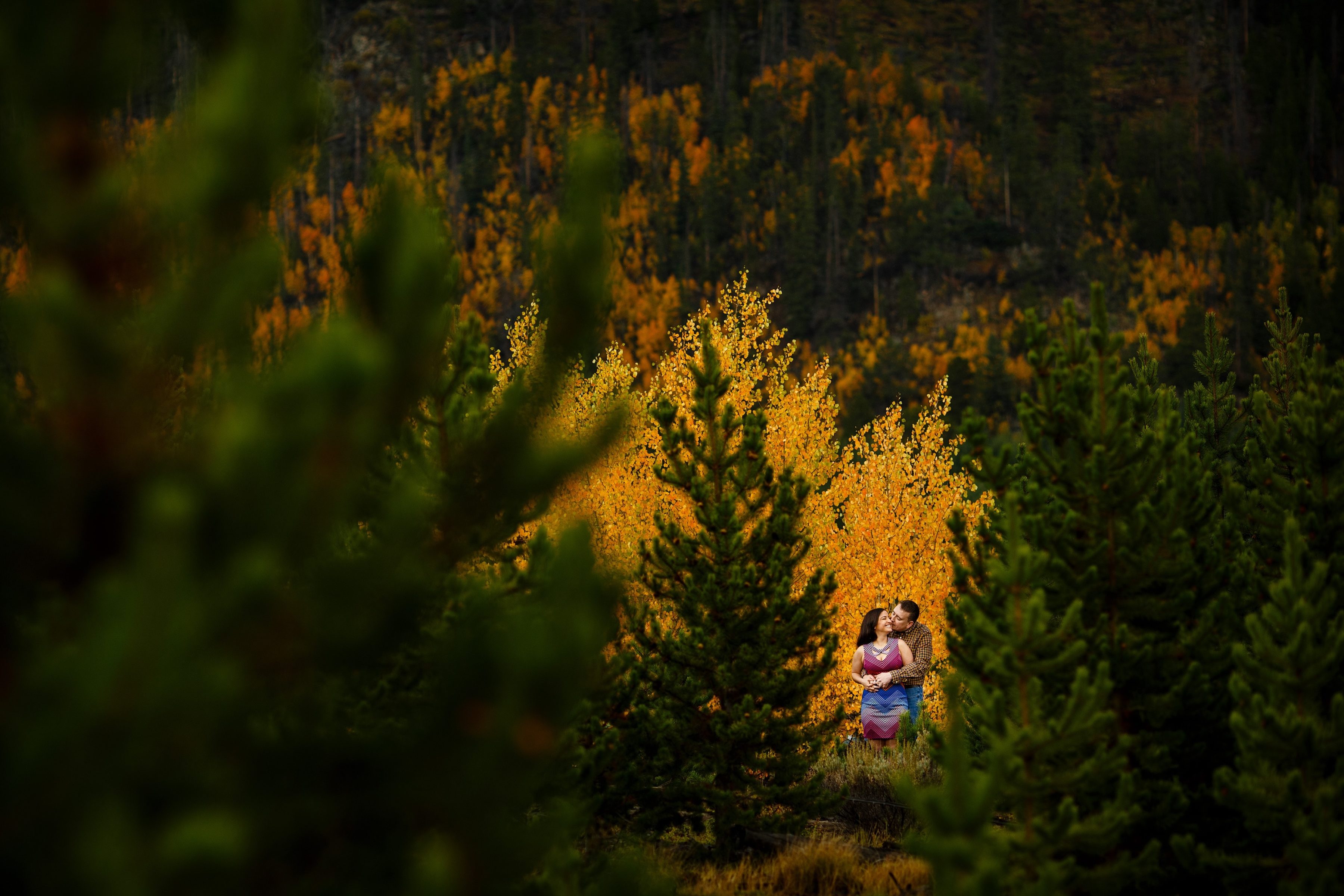 Joseph kisses Shabnam in front of a grove of yellow aspen trees during their Breckenridge fall colors engagement photos on Gold Hill