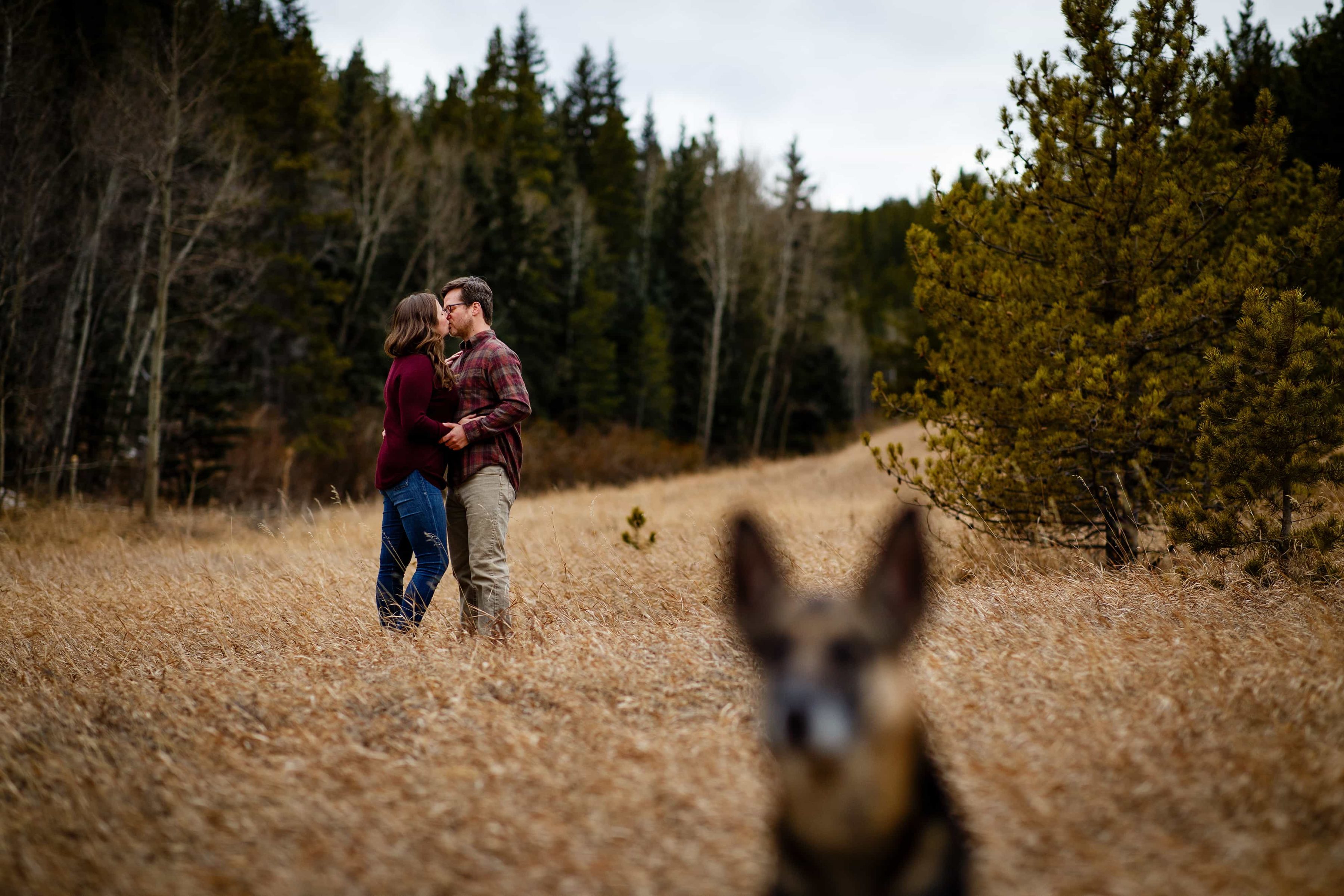 Kate and Brian share a kiss near Kriley's pond as their dog Koda keeps a lookout during their Spring Golden Gate Canyon engagement