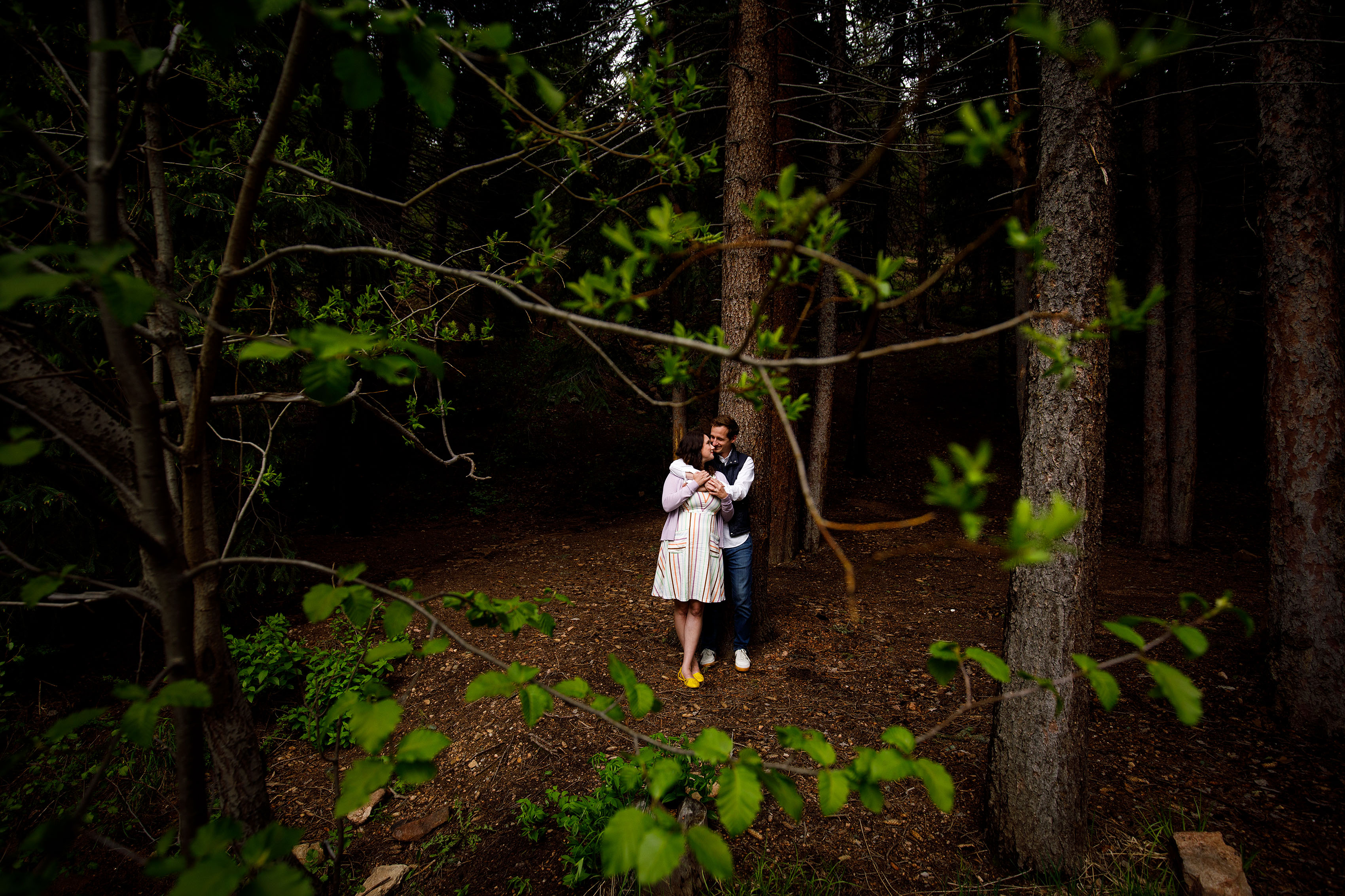 Meaghan and Matthew share a moment together in the pine trees near Maxwell Falls trail in Evergreen