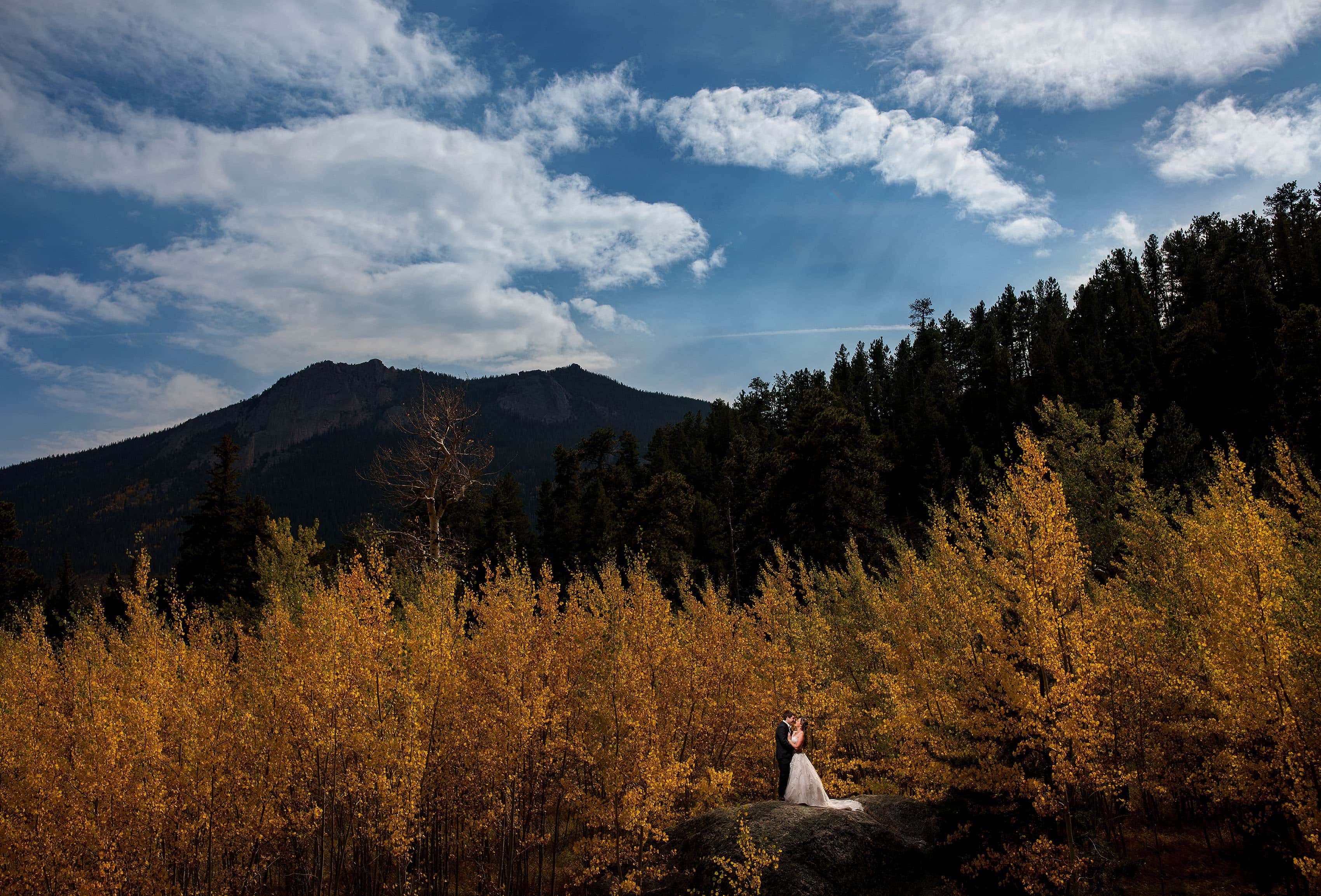 A couple poses in a grove of aspen trees during their fall wedding day in Rocky Mountain National Park