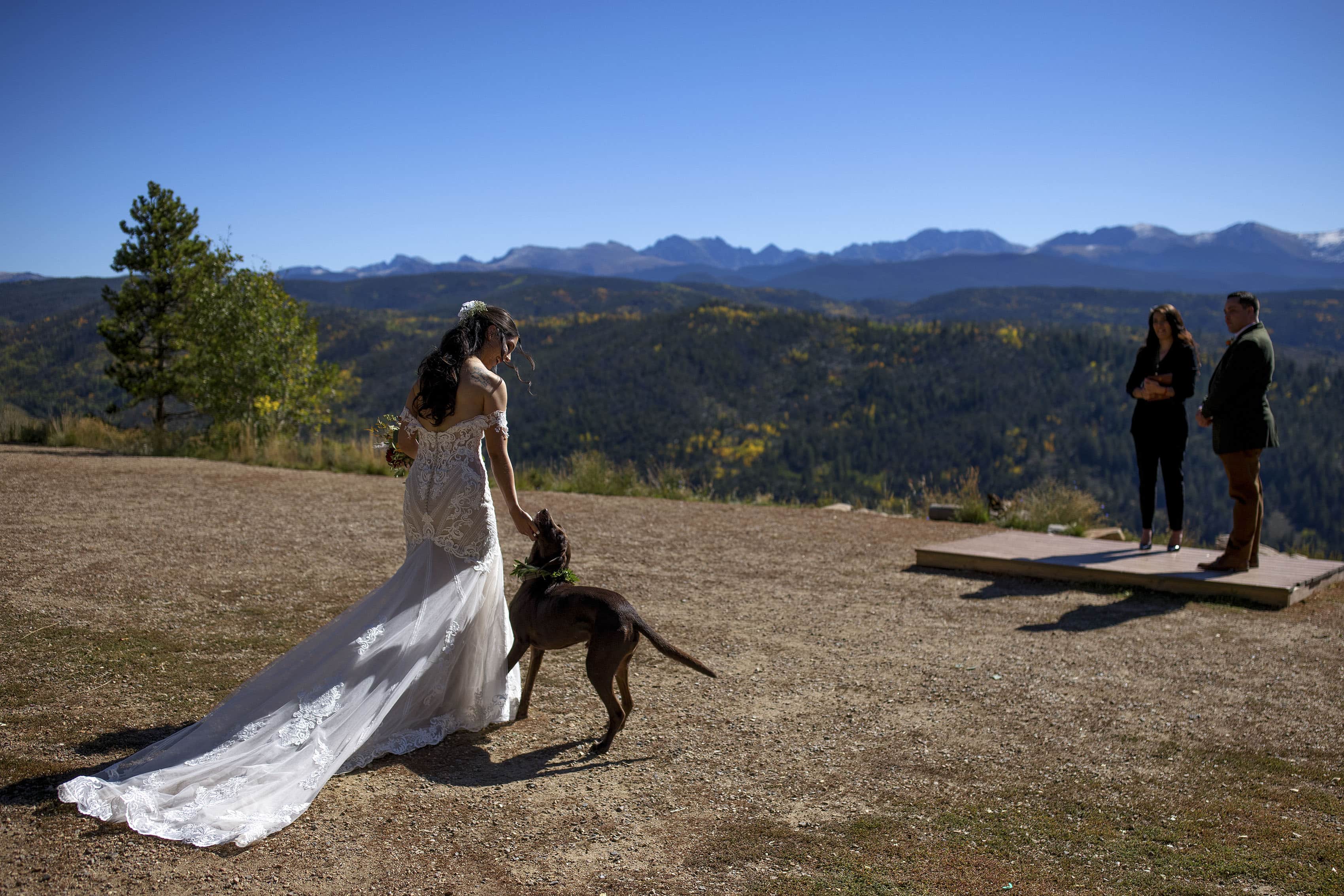 The bride is greeted by her dog as she walks down the aisle at Granby Ranch