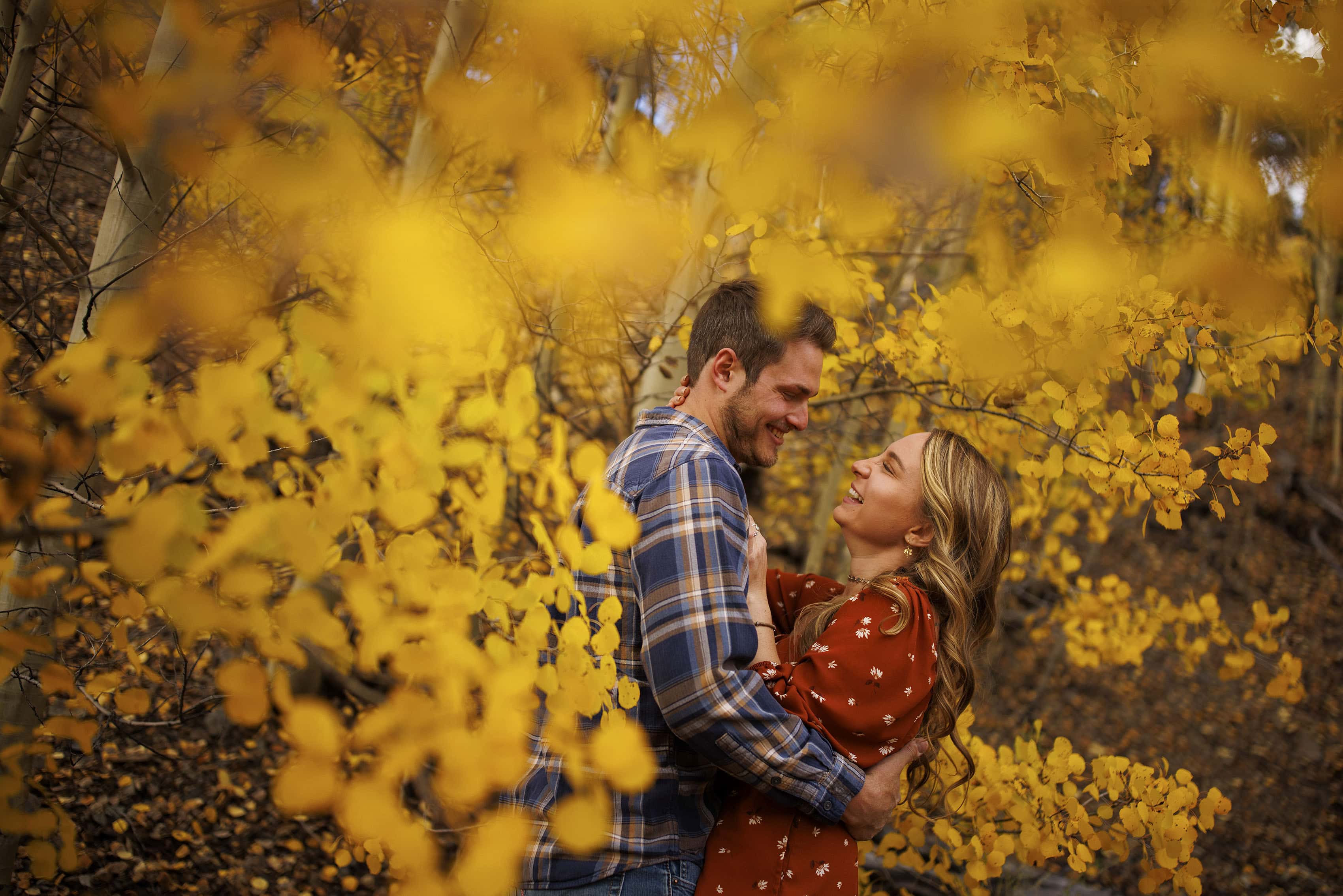 A couple shares a laugh in an aspen grove in Breckenridge during their engagement session