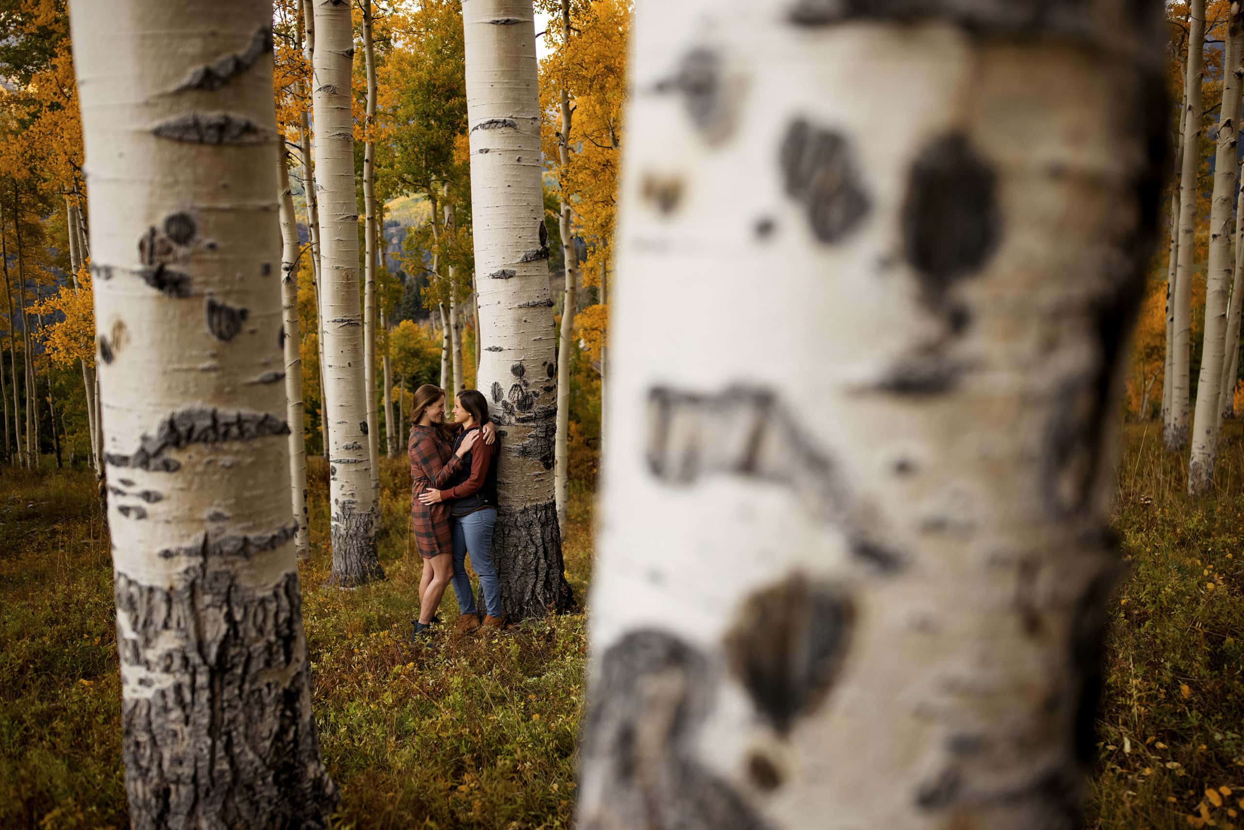 A couple share a moment in an aspen grove during their fall engagement photos near Mountain Village, Colorado