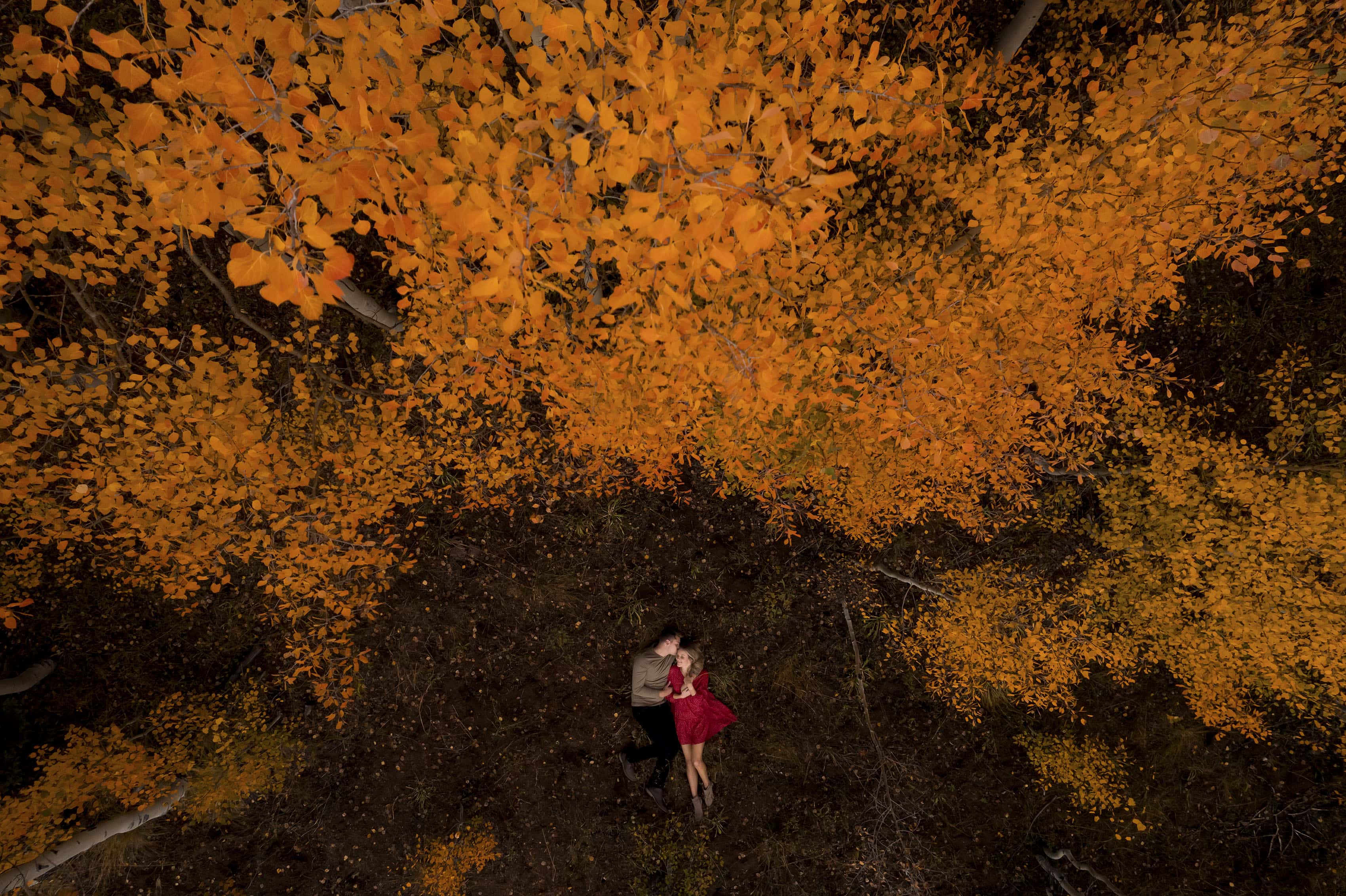 An aerial view of a couple lying on the ground, surrounded by golden aspen trees in Crested Butte