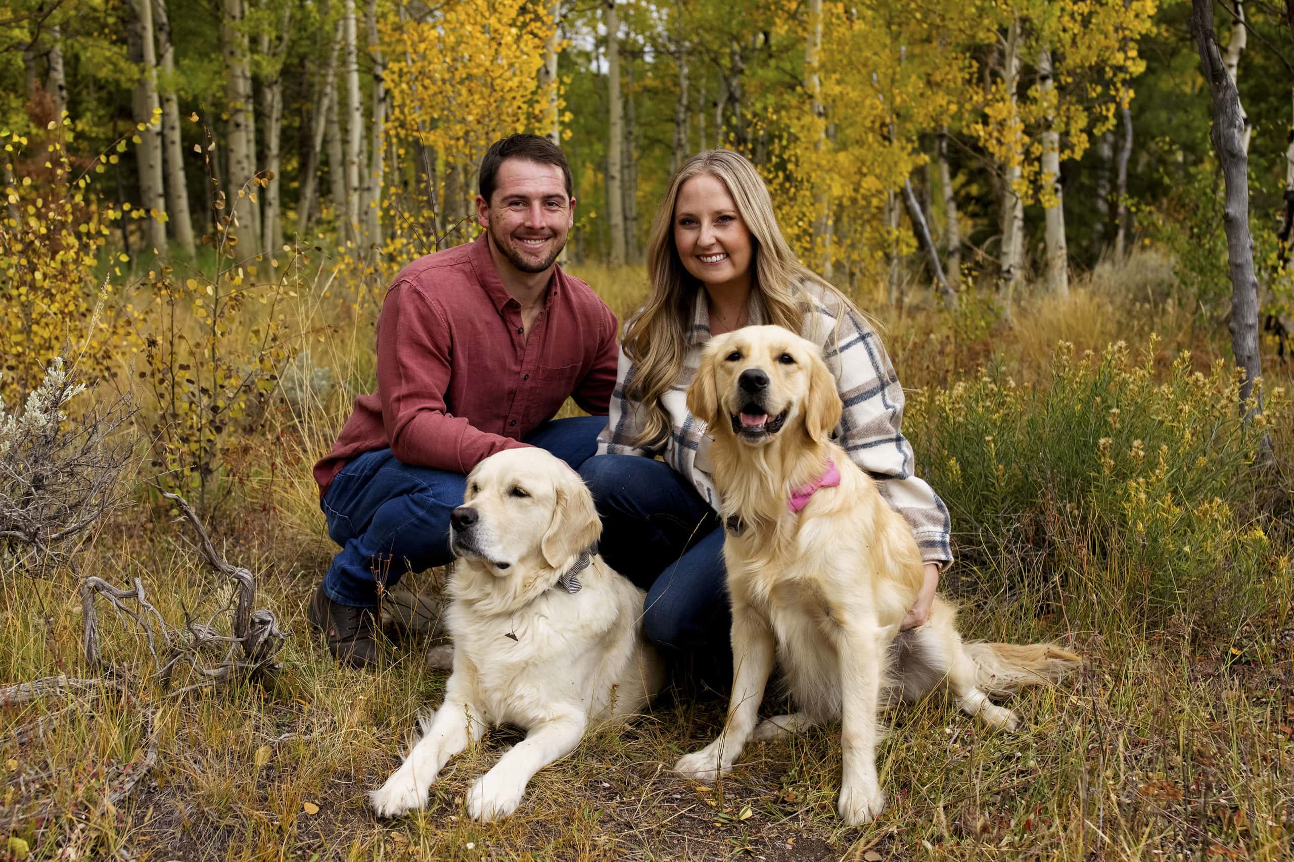 A couple poses with their golden retriever dogs in an aspen grove near fall colors in Frisco, Colorado