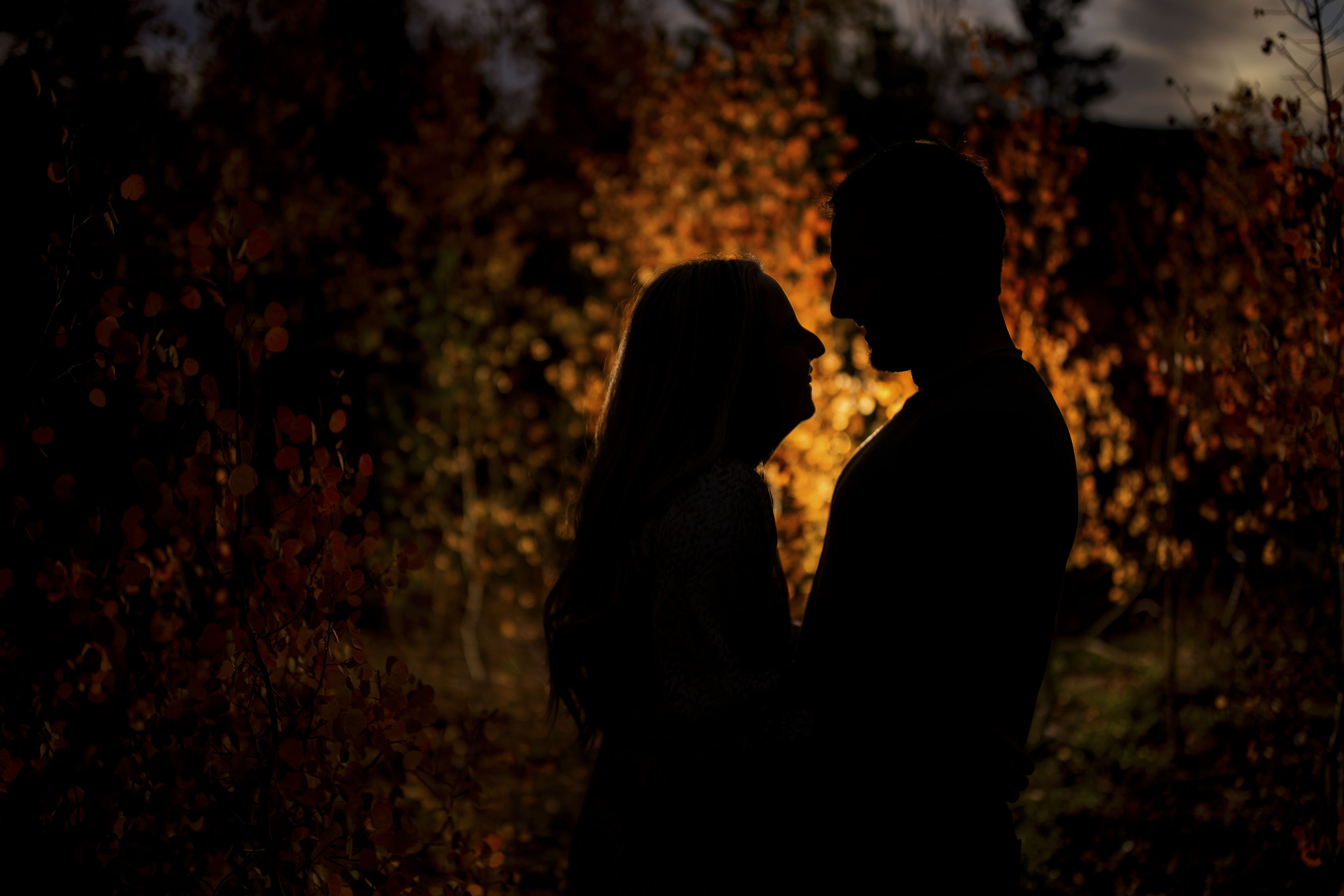 Two people are silhouetted against golden aspen trees in Colorado