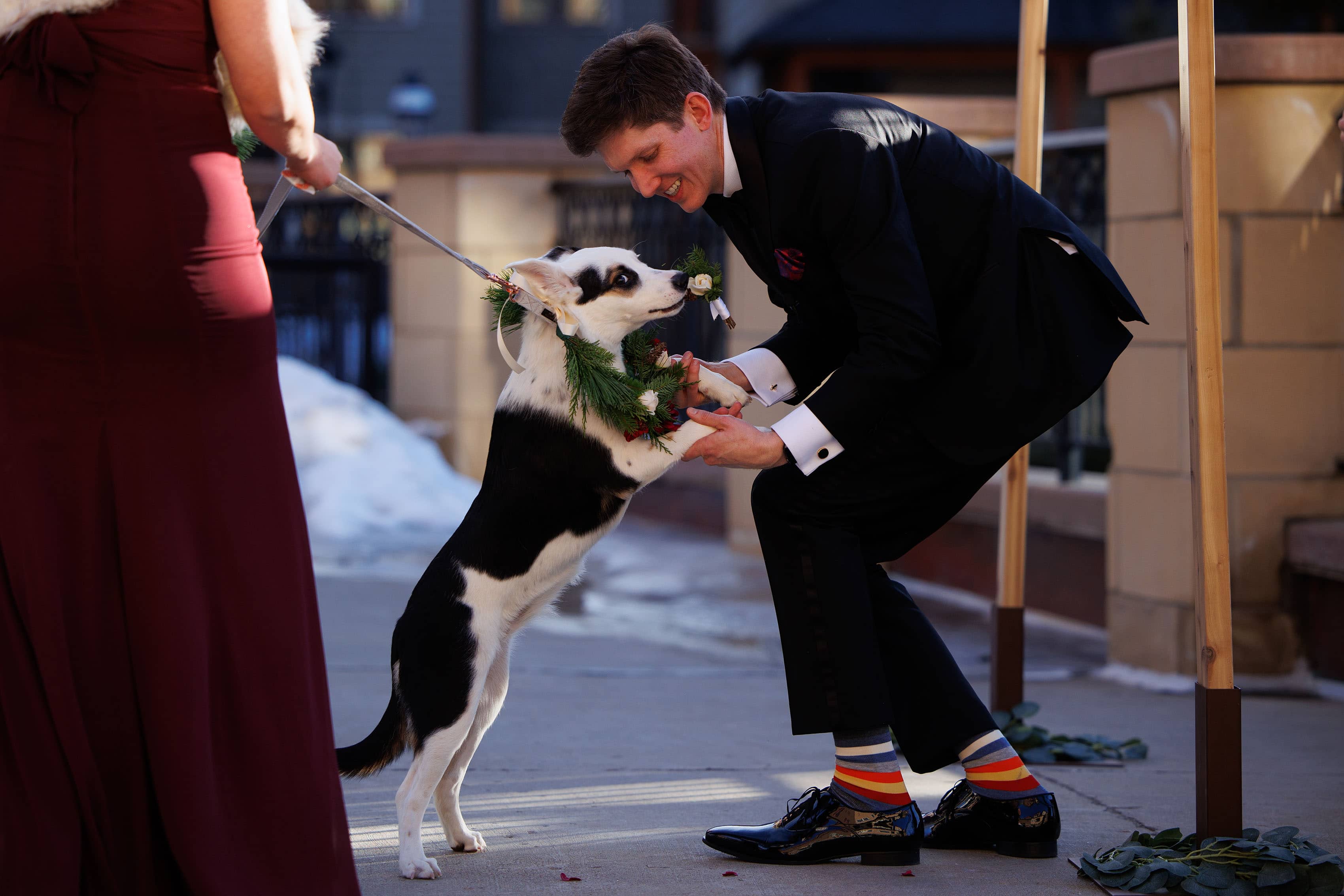 A dog steals the grooms flowers