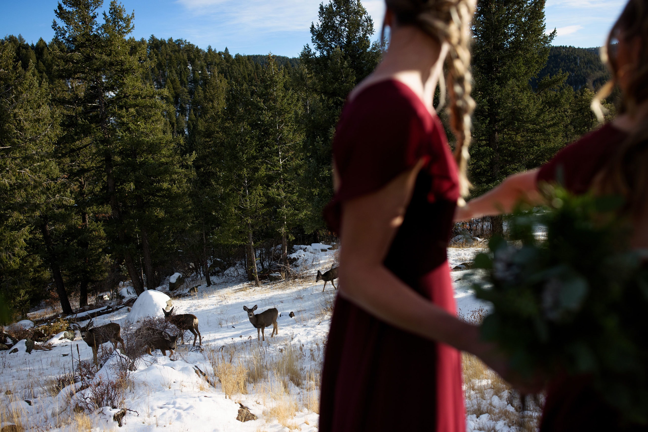 A herd of deer walk past the wedding ceremony as bridesmaids look on at Woodlands