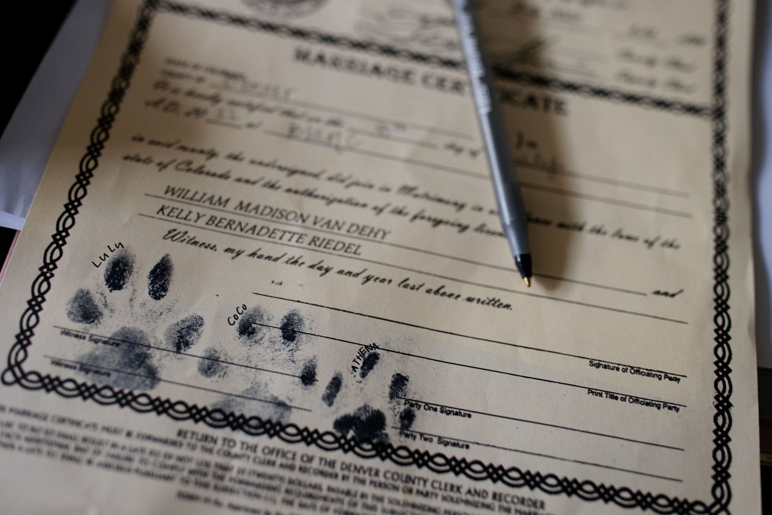 A detail of the couple’s animal prints on the marrige license