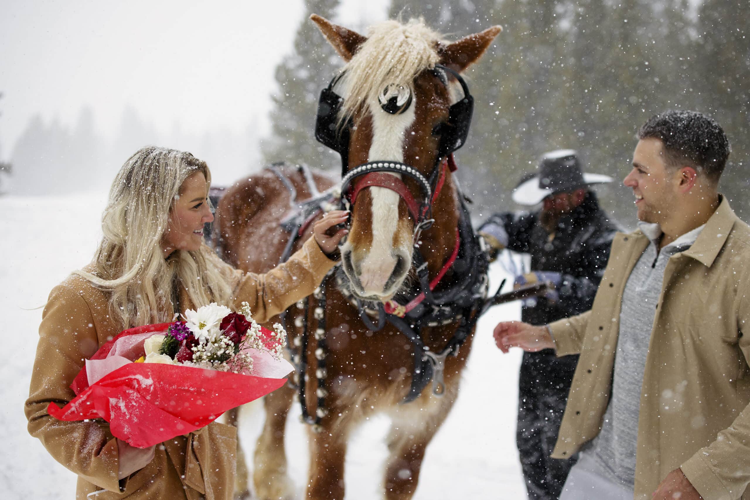 A newly engaged couple checks out a horse during their sleigh ride