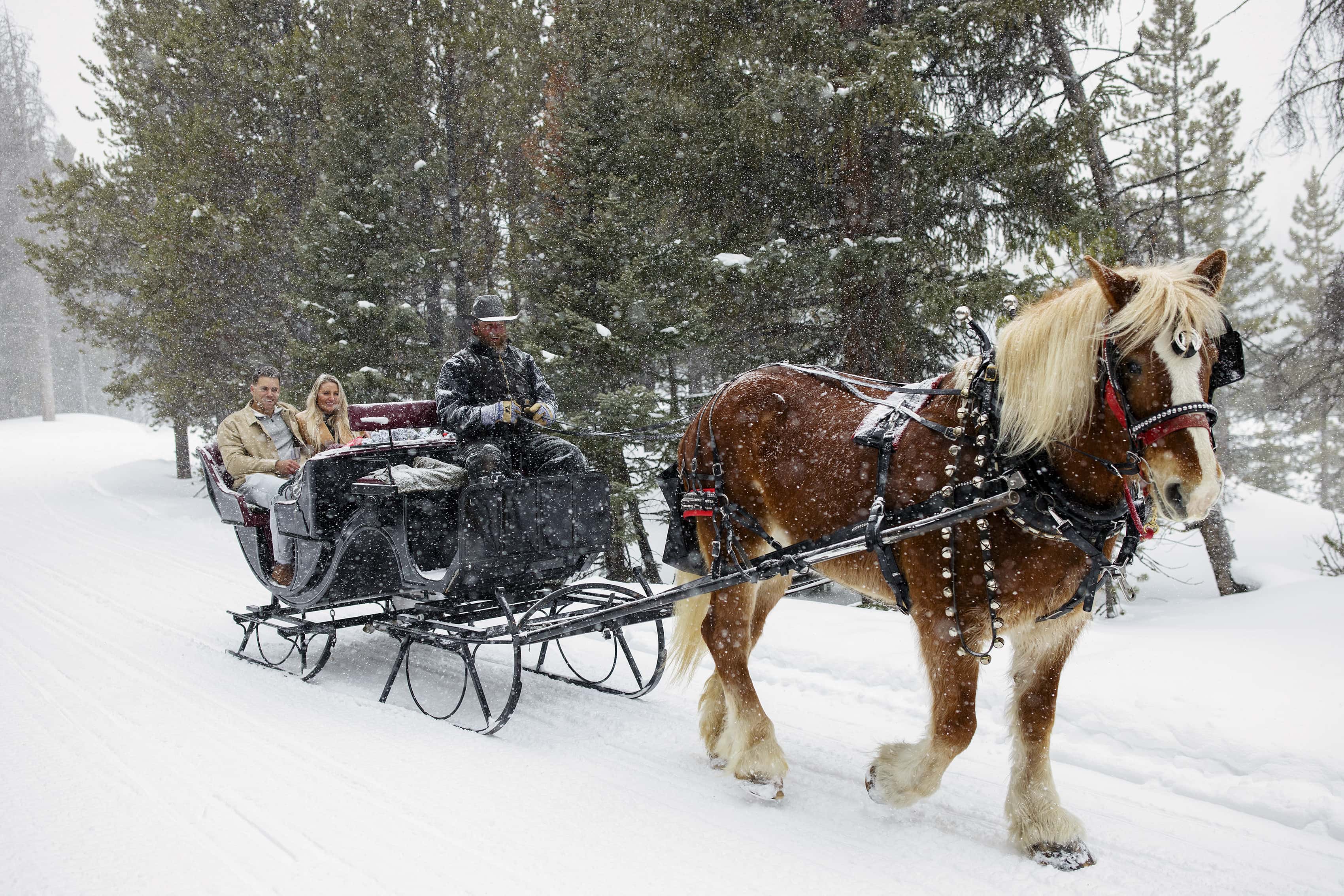 A newly engaged couple enjoys a sleigh ride in the snow in Breckenridge, Colorado