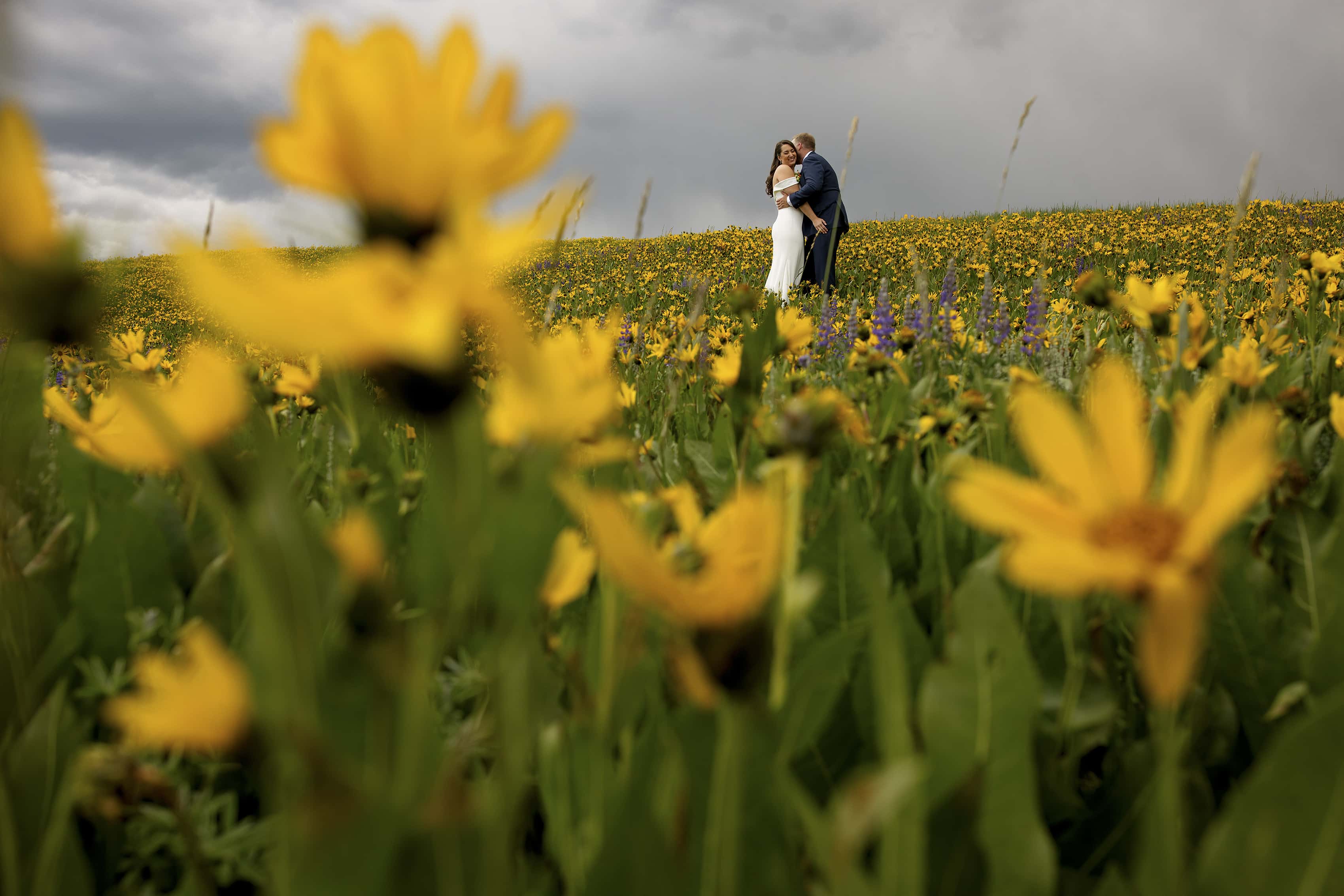 A couple embraces in a wildflower field of daiseys in Steamboat Springs on their wedding day